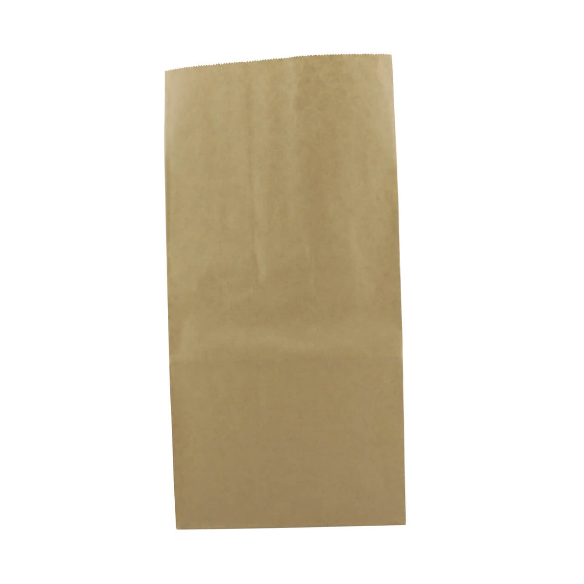 Bolsa de Papel 4