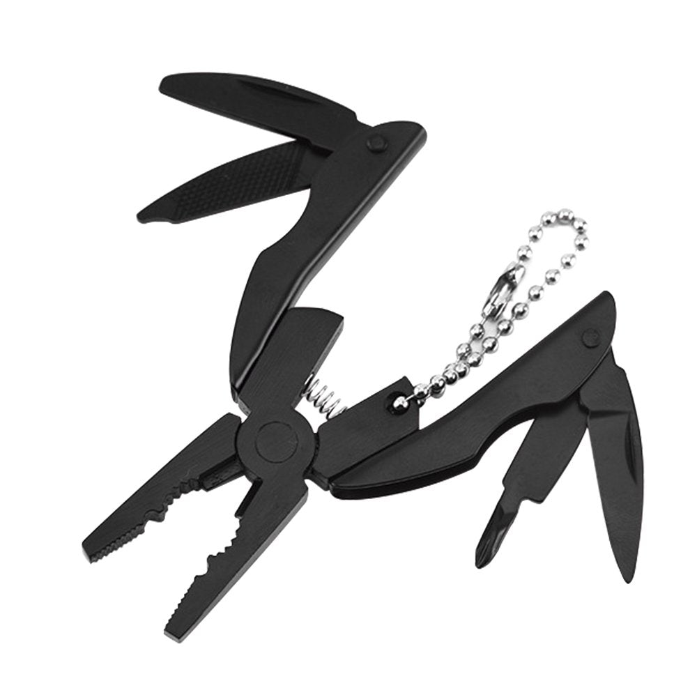 Set Beetle