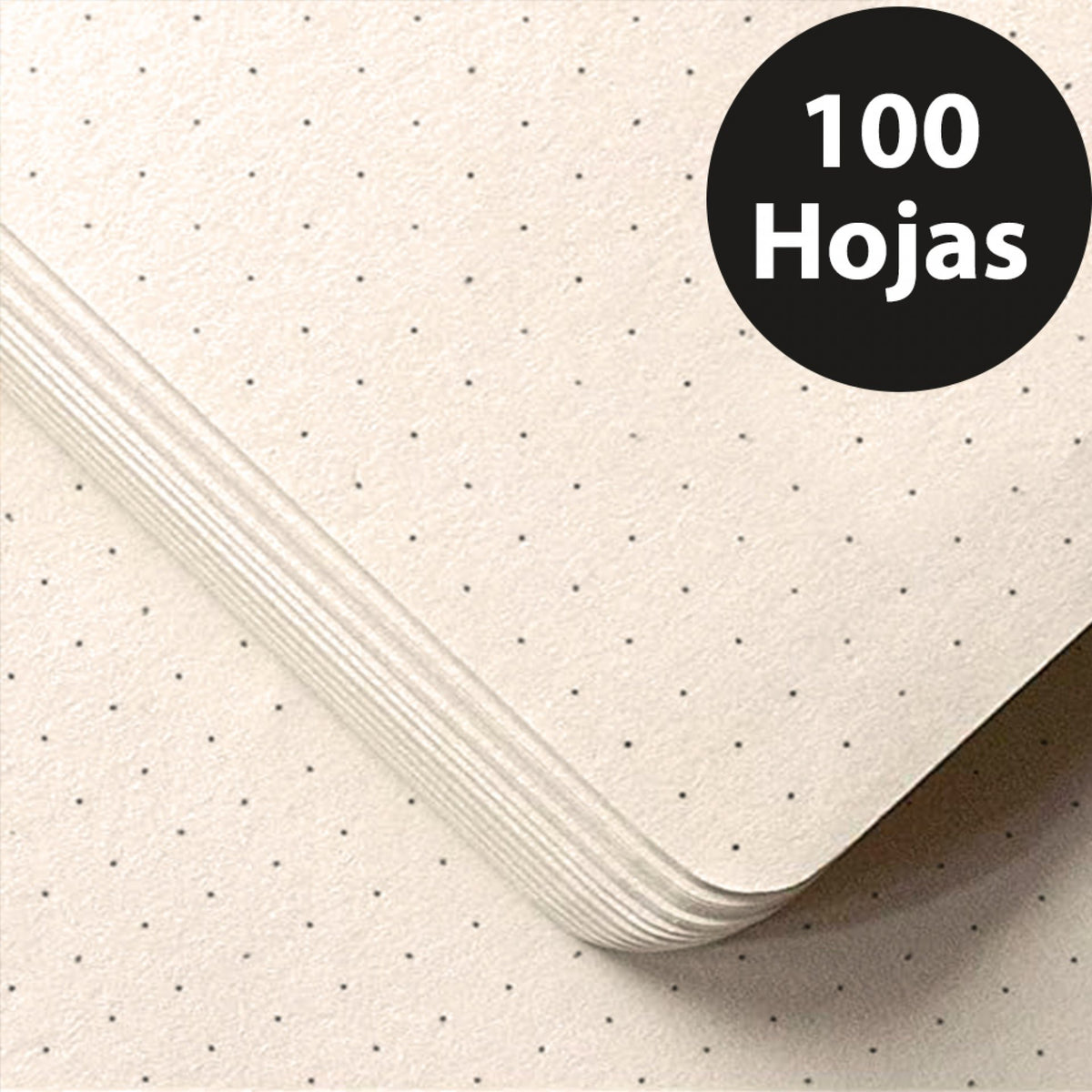 Agenda Dot Cuadricula